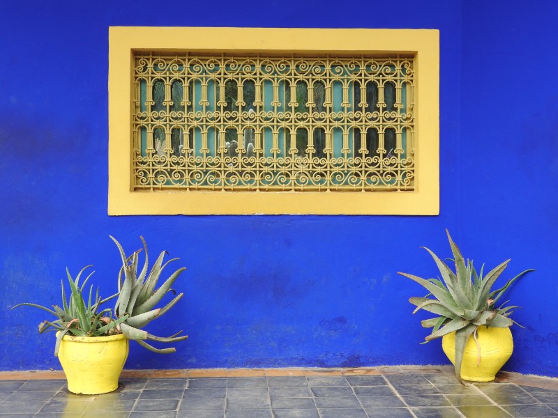 20 Jardin Majorelle